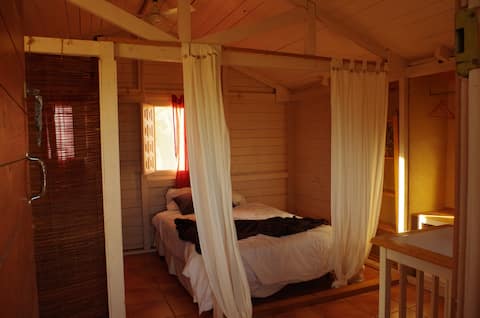 Bungalow  desconexión entre olivos todo el año