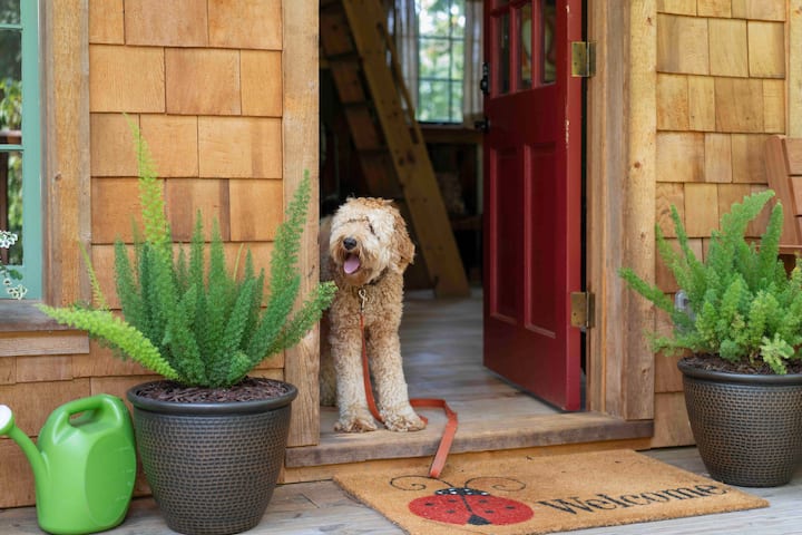 Maxx would like to welcome you to Trinity Treehouse! Pets are welcome, and with miles of wooded and paved trails, concrete-dwelling canines can enjoy the scent of nature and explore the great outdoors. Got treats?
Credit: Dickersonarts.com