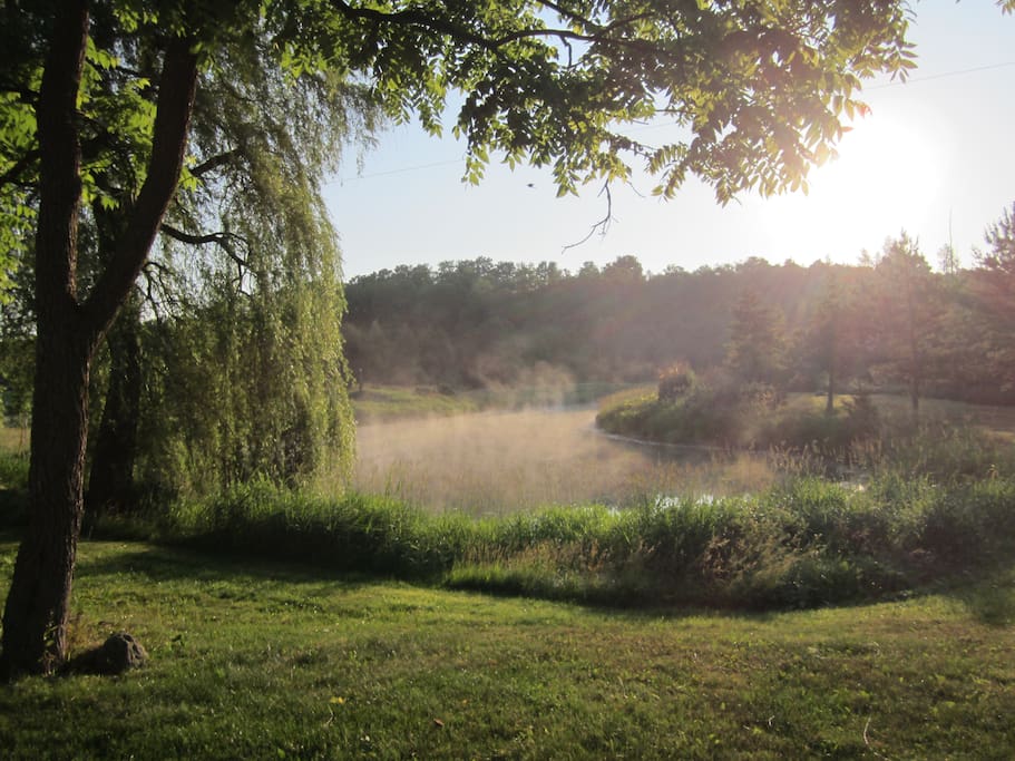 Watch the mist curl over the pond.