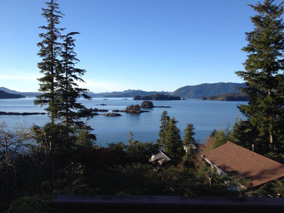 Daily view