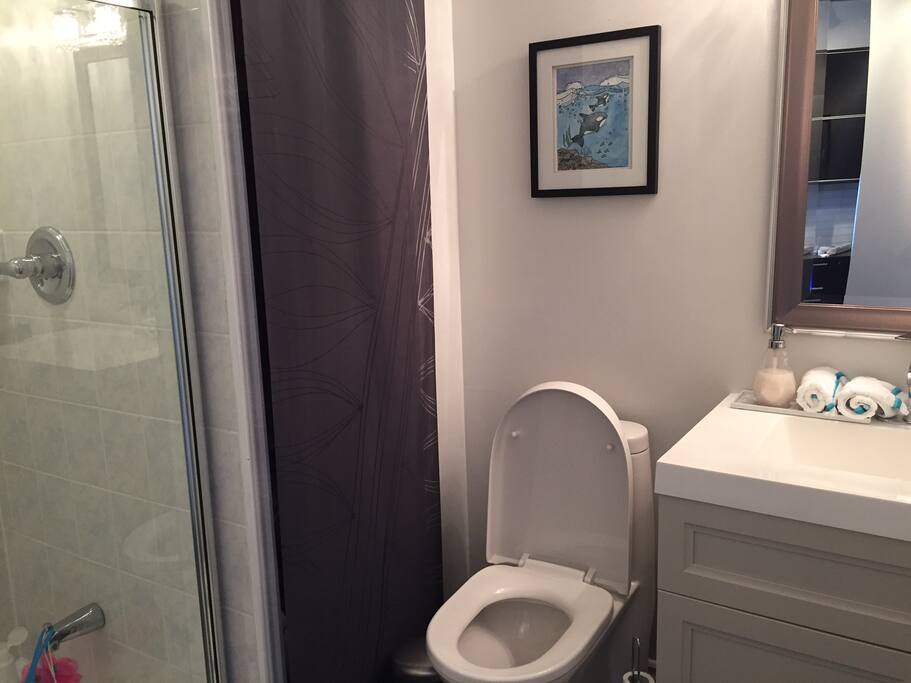 DOWNSTAIRS WASHROOM