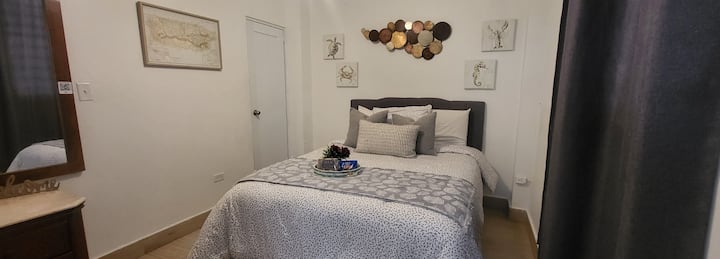Anas Place Apt D-san Juan,calle Loiza,puertorico - Bayamón