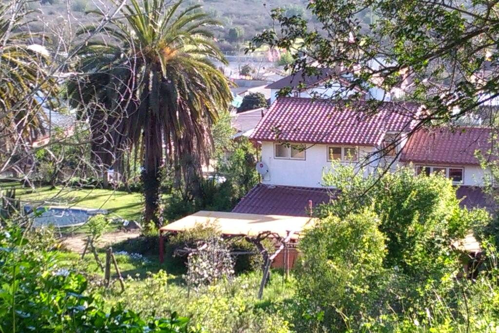 Vista al hostal desde nuestro bosque