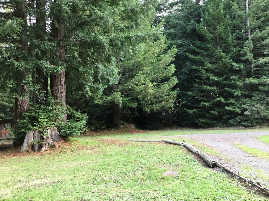 View from the front porch.
