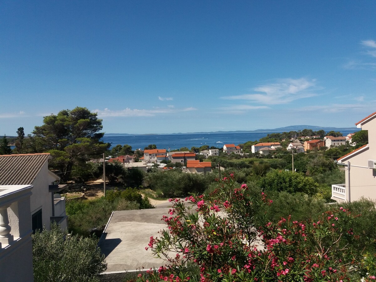A sweeping view of the coastline features lush greenery and residential areas nestled among hills. The blue sea stretches into the distance, meeting the clear sky. Floral elements in the foreground add a touch of color to the serene landscape.