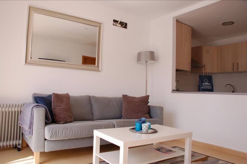 Open Plan Living Room