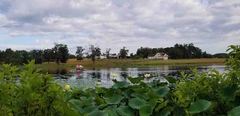 Big Pine Farm Studio Apartment with private lake