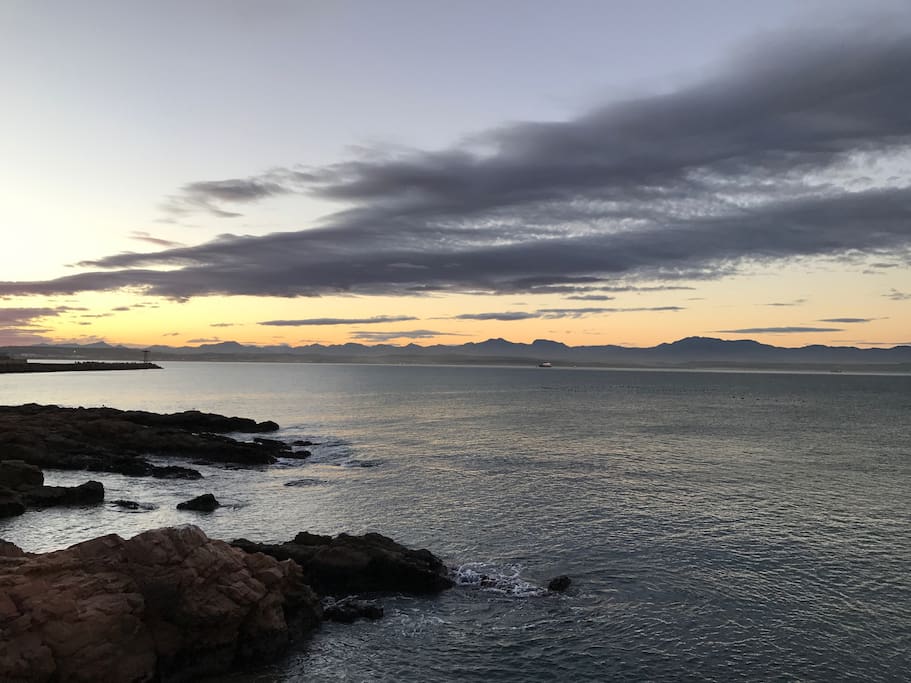 Watch the whales, dolphins and seals in the bay!