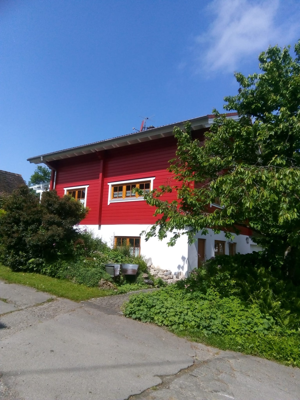 A two-story building showcases a striking red exterior contrasted by white accents. Lush greenery surrounds the structure, including shrubs and trees. A clear blue sky adds to the inviting atmosphere, while a pathway leads up to the entrance.