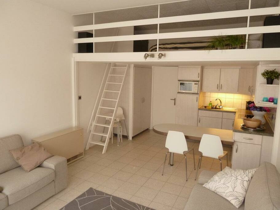 Gerenoveerde studio, gelegen op het gelijkvloers, vlabij de zee! Deze prachtige goed uitgeruste studio biedt plaats aan zes personen om te slapen. De studio ligt vlakbij de tramhalte (20 meter), op 80 meter van de belangrijkste winkelstraat, en op 150 meter van de dijk en het prachtige strand van Nieuwpoort-Bad.