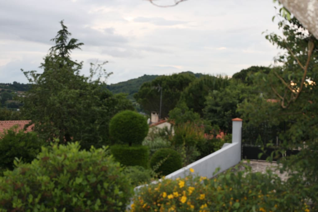 vue de la terrasse cuisine