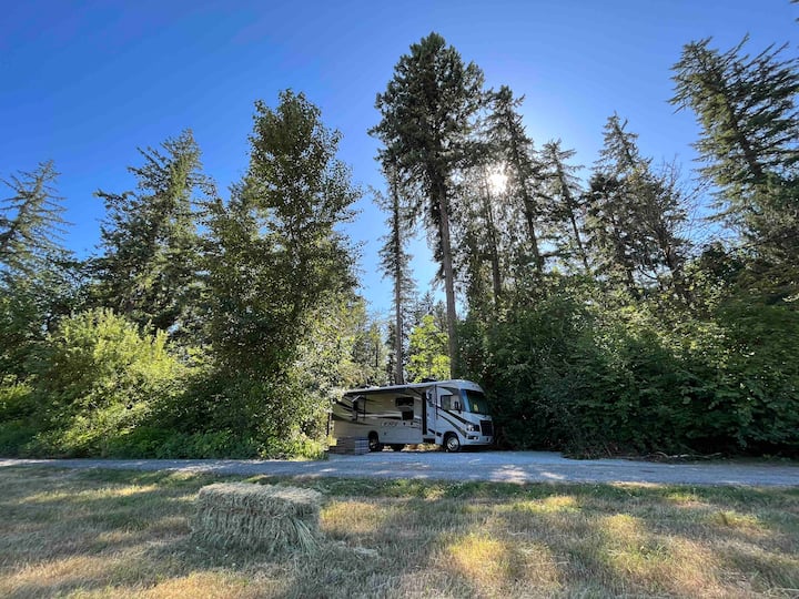 TheShireAirbnbPDX site 2 nature retreat Campers/RVs for Rent in