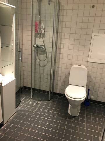 Oslo city/Color Apt/3Bedrms/2WC/750mt from Oslo S gallery image 3