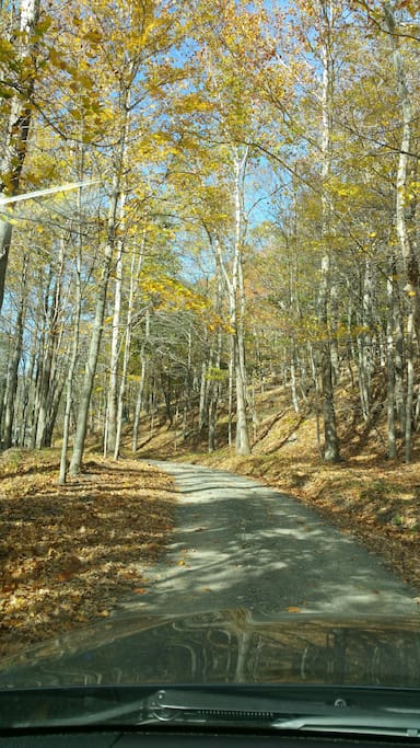 Private driveway leading to the house