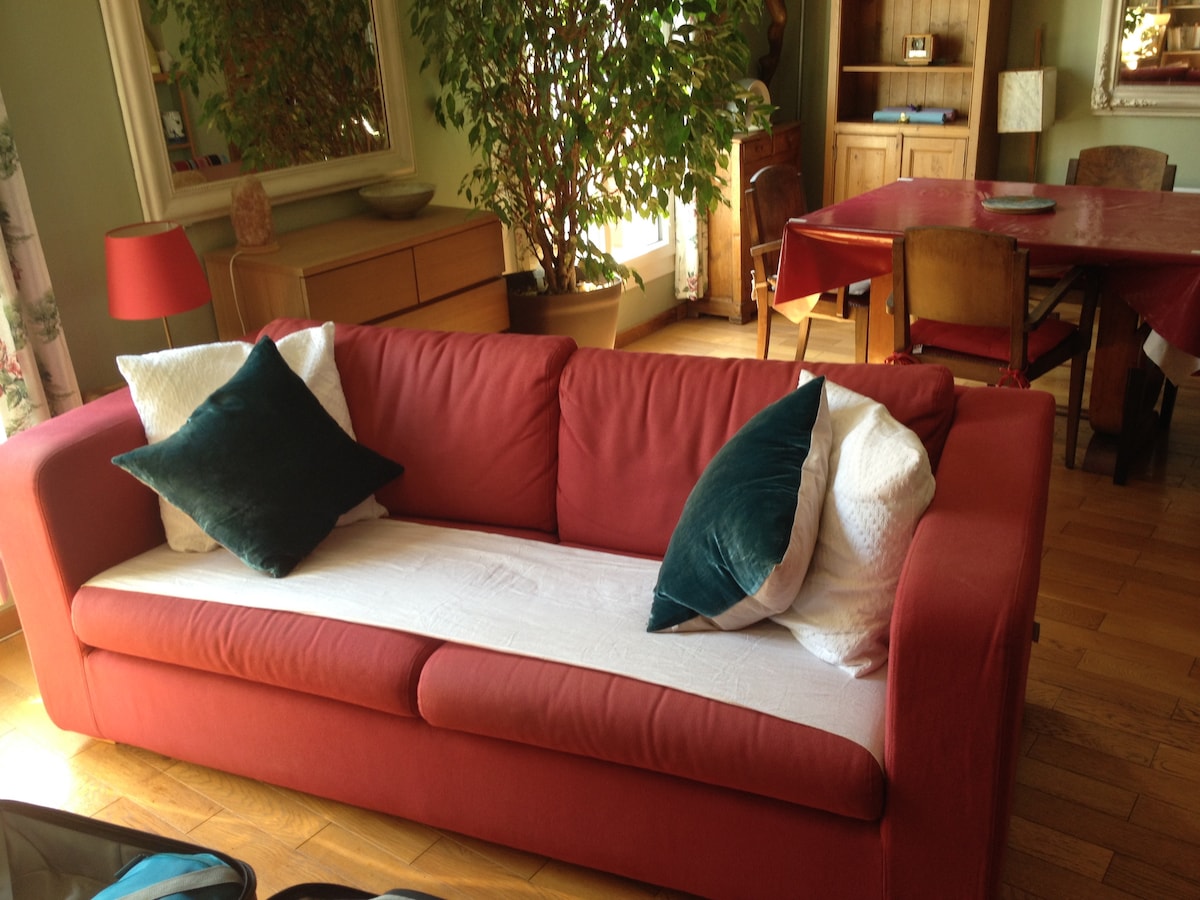 Sofa bed in the living room