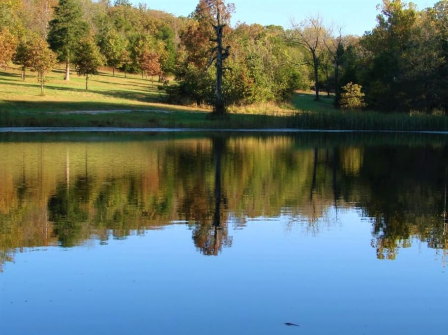 Our Pond