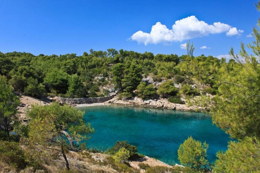 Maslinica beach