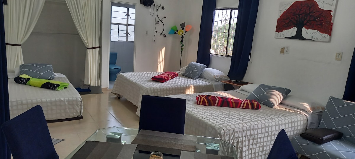 The studio apartment features two spacious beds, arranged with colorful throw blankets. A dining table for four is positioned in the foreground, accompanied by blue chairs. Natural light fills the room through multiple windows, with a decorative wall art piece depicting a tree in the background.