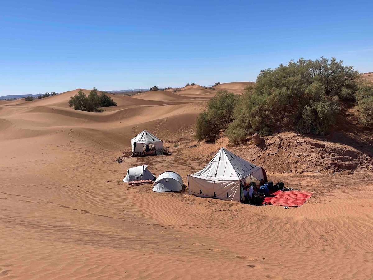 A collection of tents is situated amid the sand dunes, surrounded by sparse vegetation. The landscape features rolling dunes that stretch in the background, while a red cloth is laid out in front of one tent, inviting relaxation in the serene desert environment.