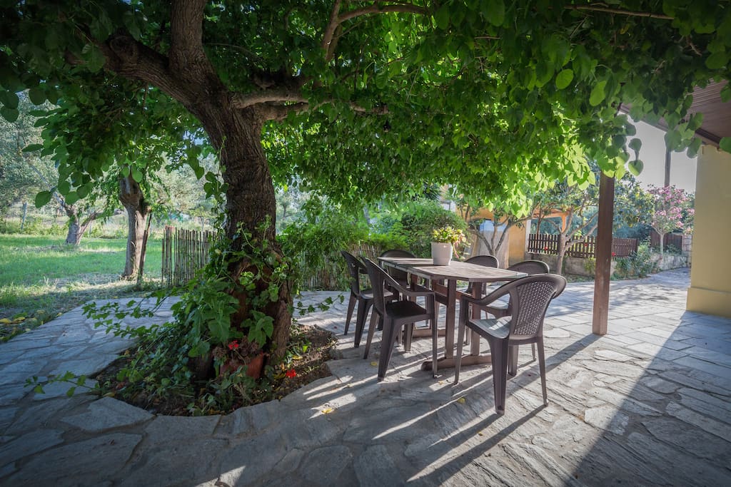Private yard with a wild berry tree. Enjoy the wild berry tree shade and the quality veranda furniture (you can move where it suits you best)