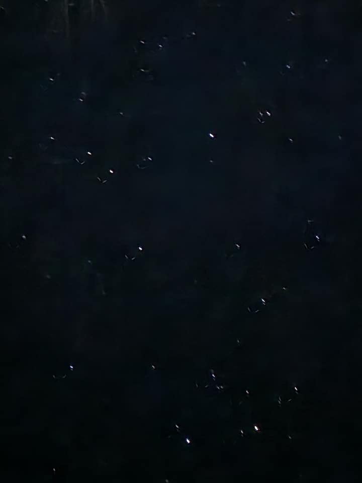 Სახლი, სადაც კარგად ხედავთ ვარსკვლავებს