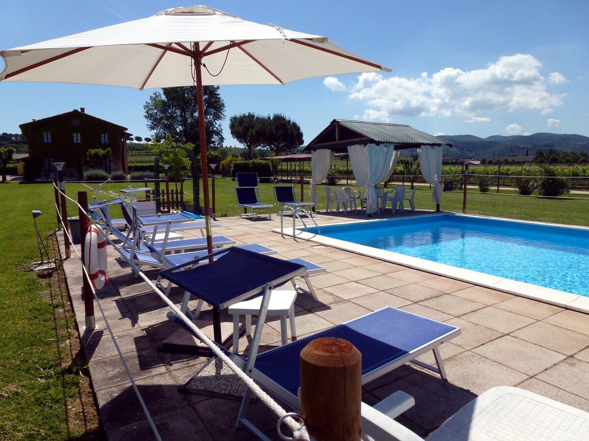 A spacious outdoor pool area is featured, surrounded by sun loungers under large umbrellas. The pool is framed by well-maintained grass and offers views of nearby vineyards. A shaded dining area with tables and chairs is visible in the background, enhancing the outdoor experience.