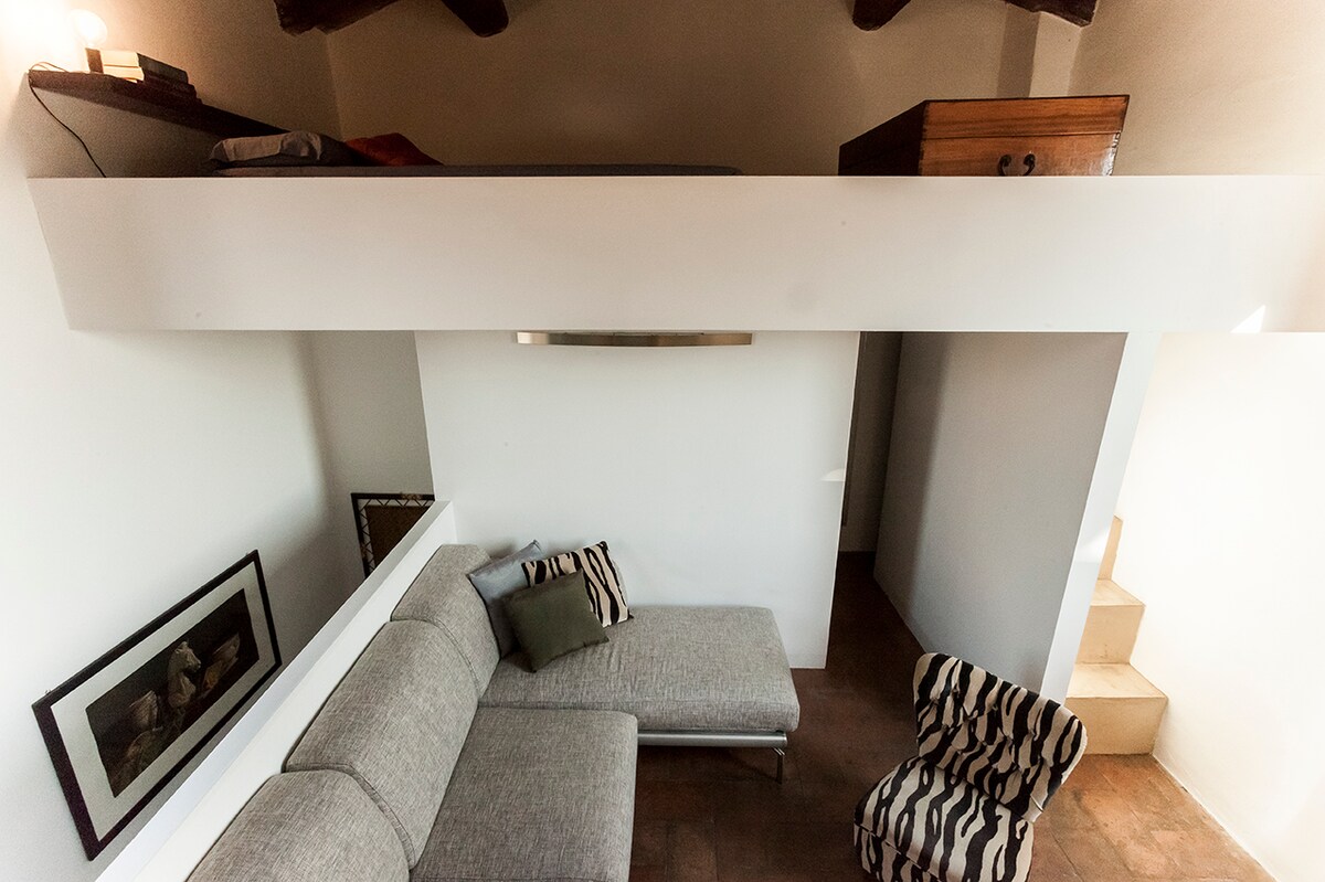 Airbnb con migliori performance: Little Tower over the roofs a Modena