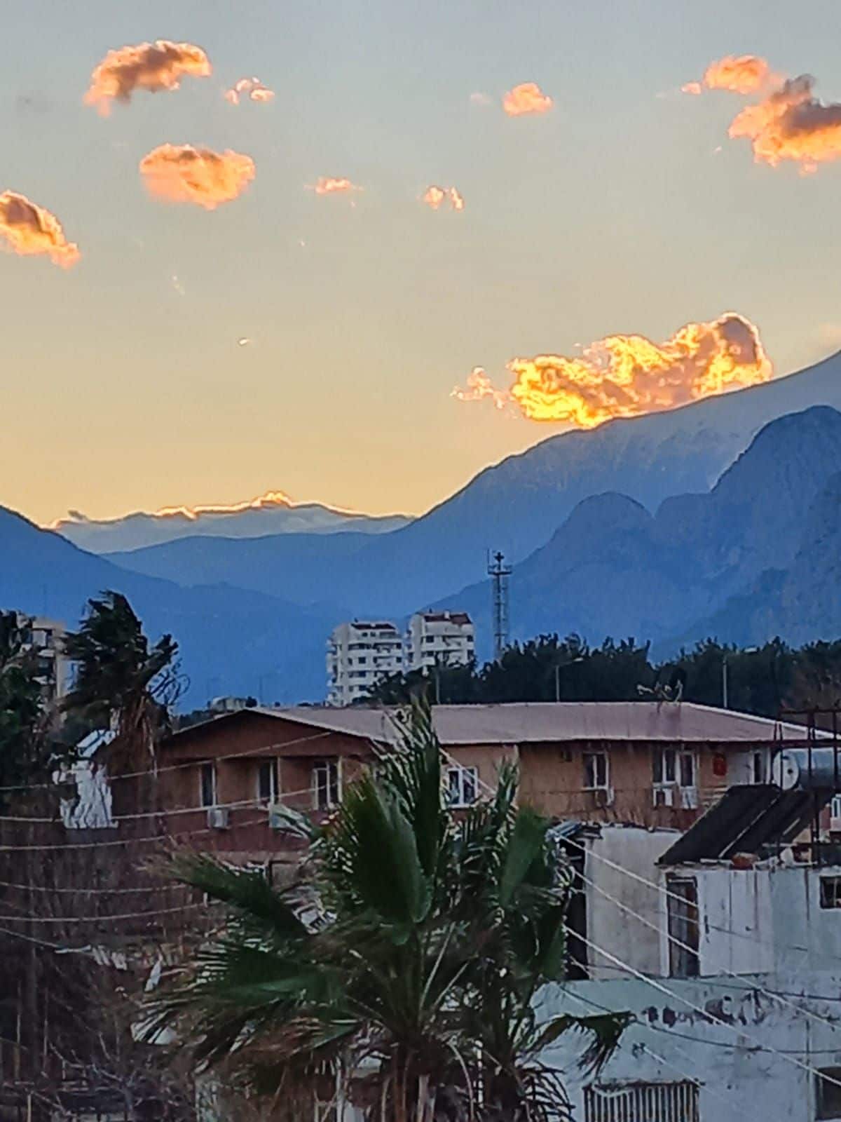 A serene view showcases mountains in the distance, partially illuminated by the setting sun. Soft clouds float above, while palm trees and rooftops of nearby buildings create a sense of the surrounding area, blending natural and urban elements.