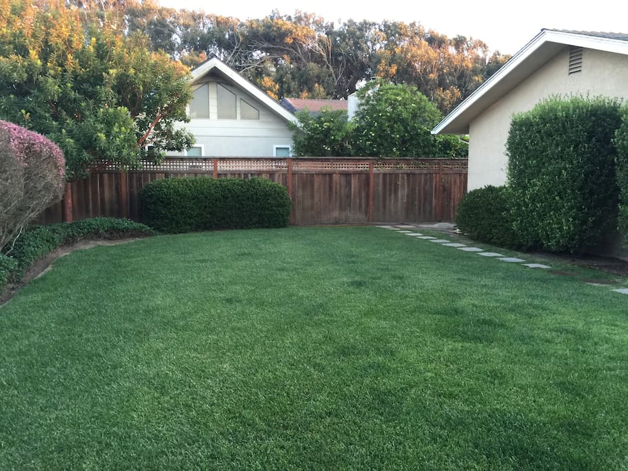 Backyard