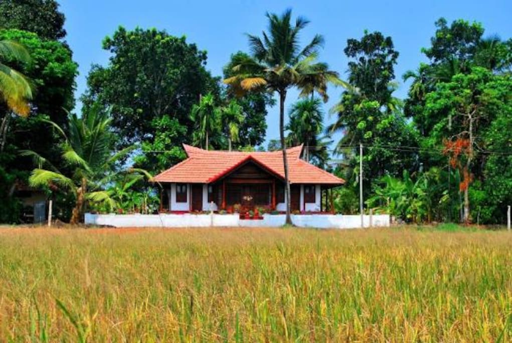 Front View of the Whole Villa with paddy view (lake in the back of the villa)