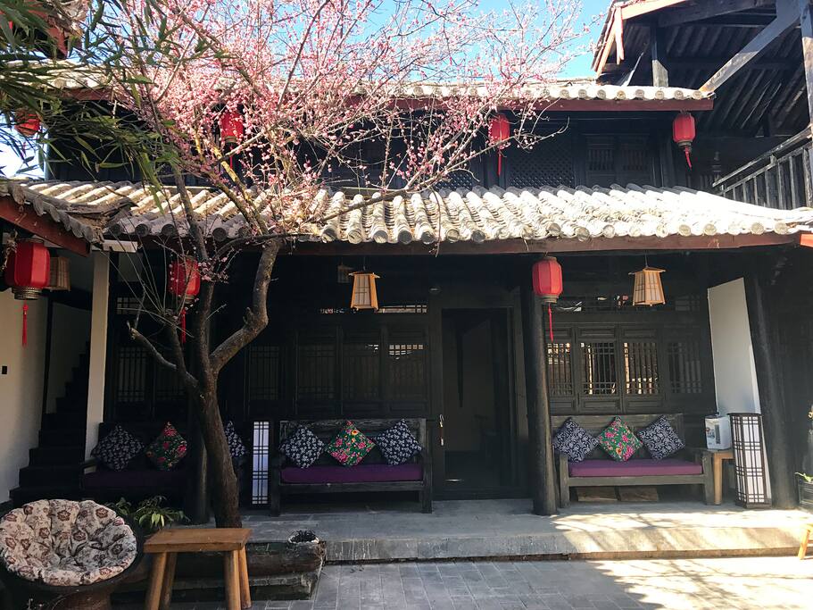 院落梅花
