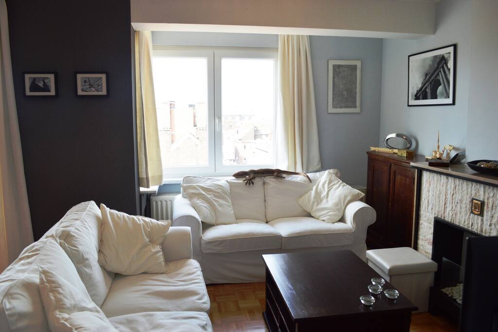 Le salon - The living room