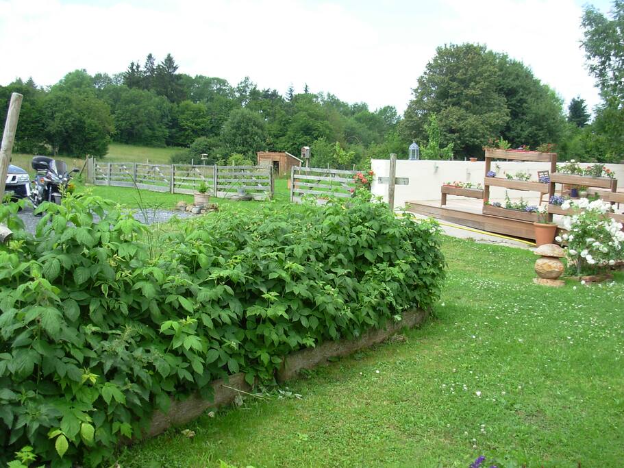 Un jardin de verdure....