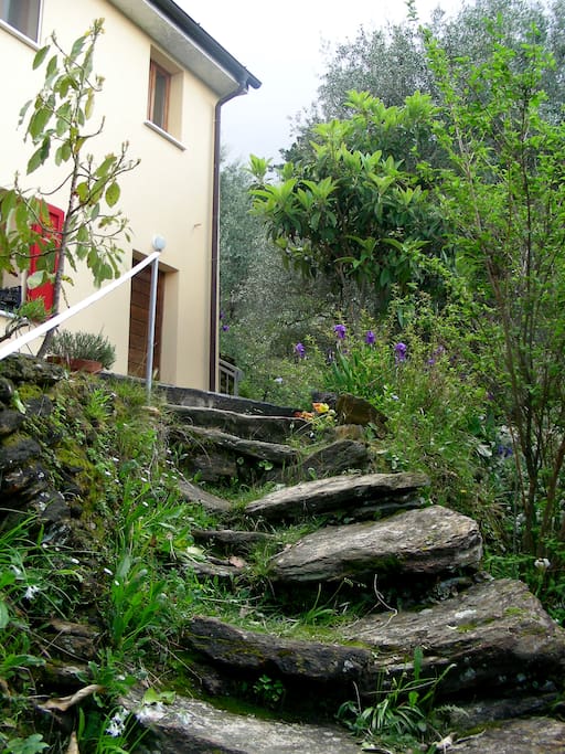 Ancient dry set steps up to the house.