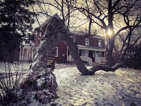 Newly Renovated Bellaire Farmhouse