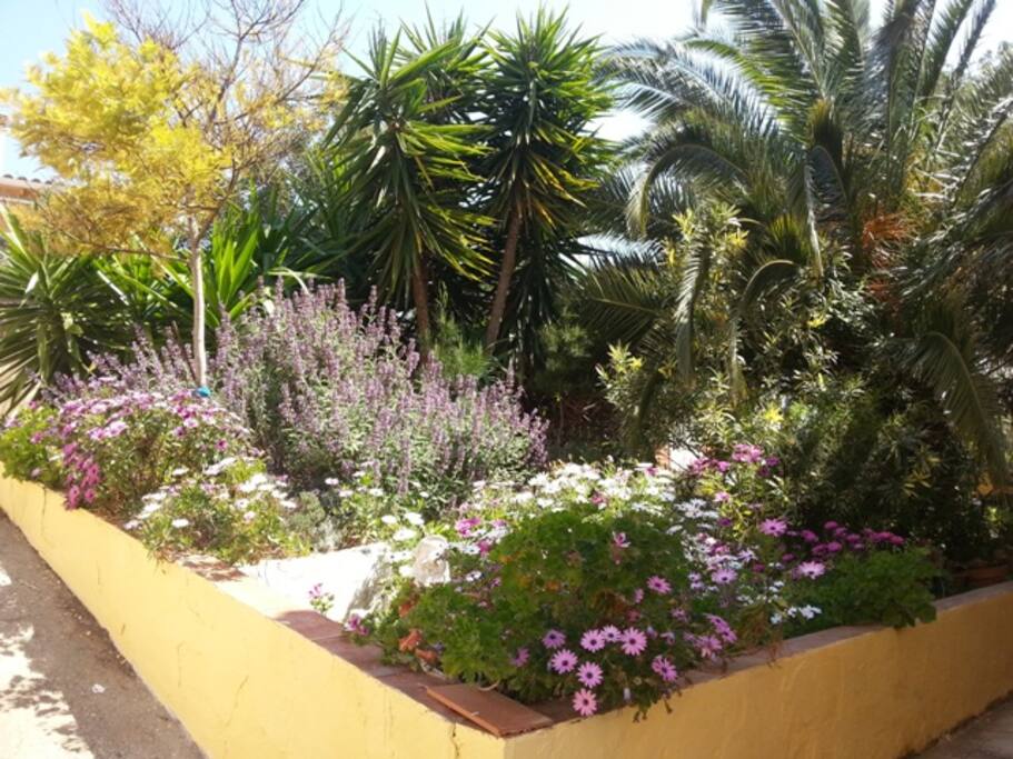 Colorful grounds