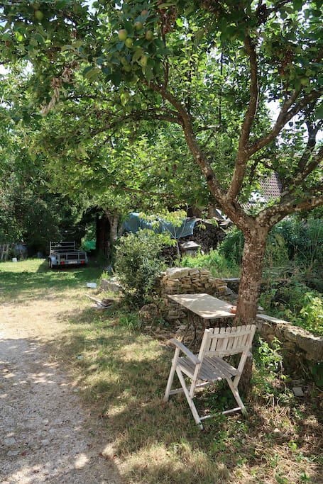 Jardin arboré, table de jardin disponible.