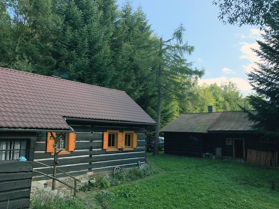 Cabin and the party house with the sauna and place for extra four people to sleep in