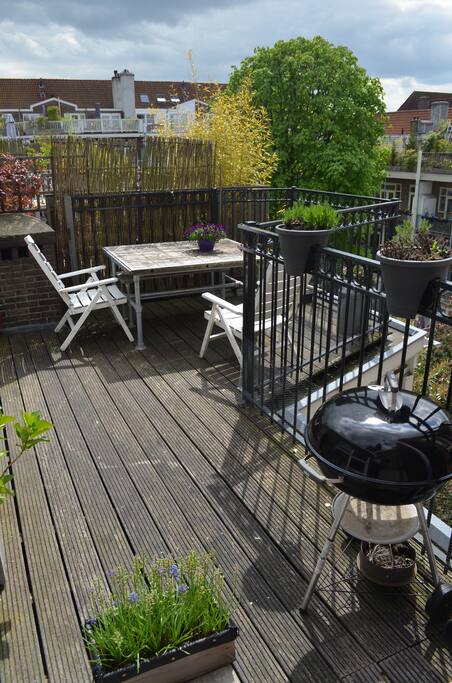 Sunny terras