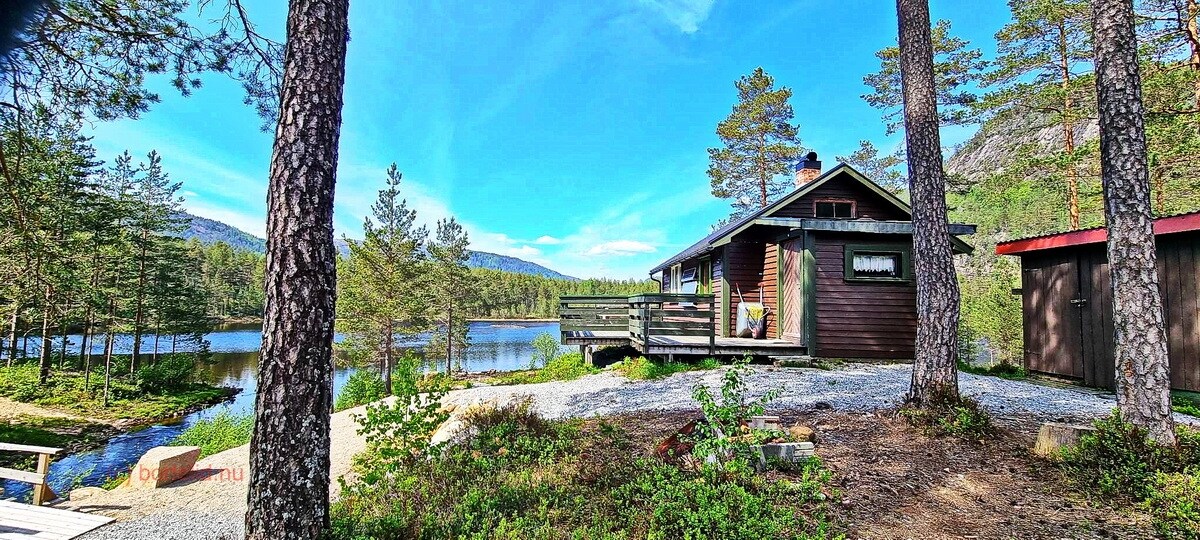 A rustic cabin stands amidst tall pine trees, featuring a wooden deck that overlooks a serene lake. The natural surroundings include vibrant greenery and rocky outcrops, enhancing the tranquil rural setting. A small storage shed is visible nearby.
