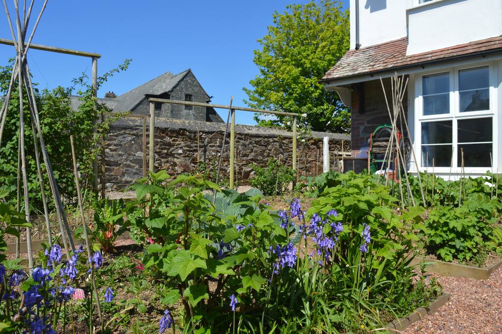 Front potager garden