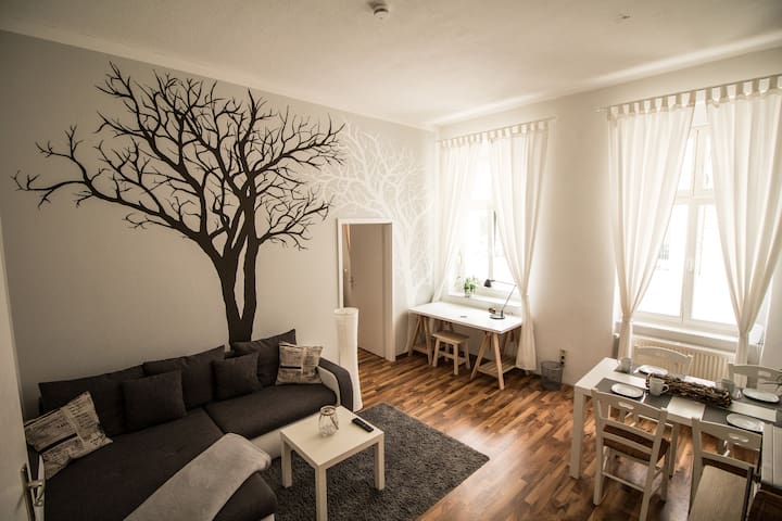 Very central apartment, cosy, downtown, modern,new