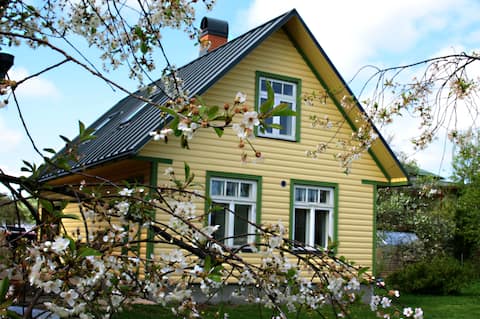 Cosy garden house/studio in Tammelinn