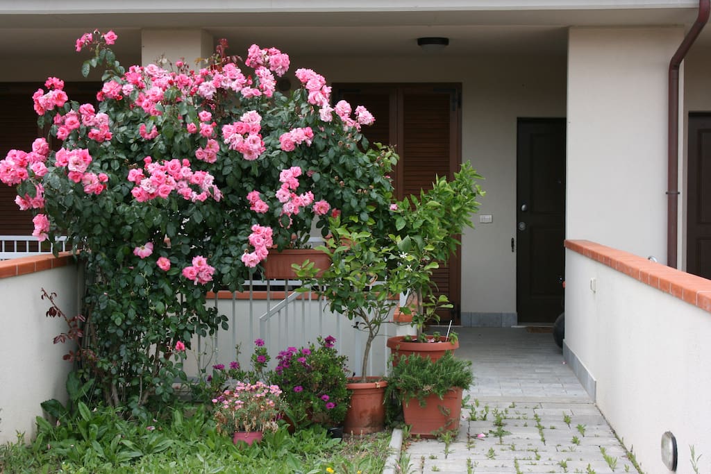 Il giardino di ingresso alla casa, in primavera