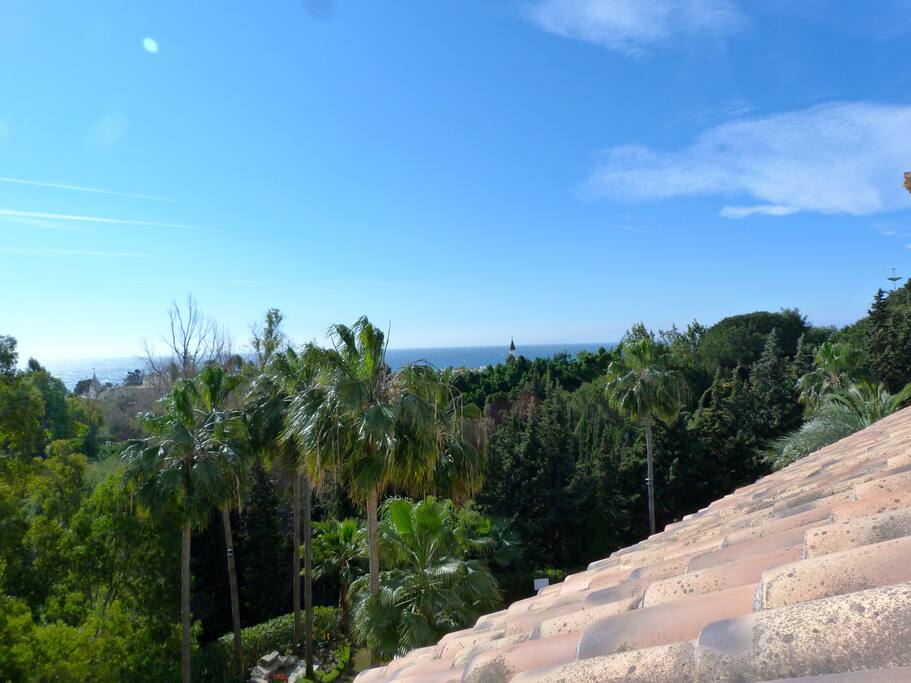 Sea Views