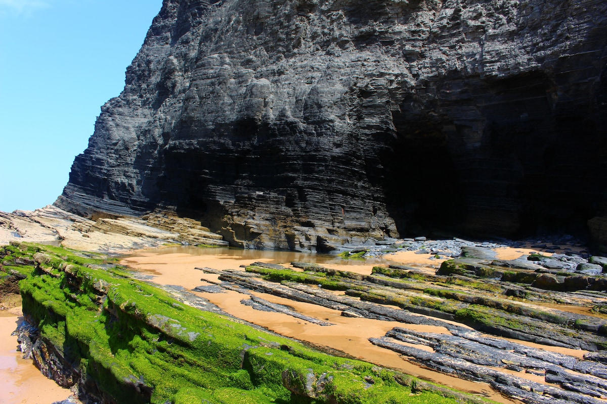 A rocky coastal landscape is showcased, featuring dramatic cliffs formed by layered dark rock. The shoreline is interspersed with patches of vibrant green moss, while the sandy beach is partially visible. The scene is under a clear blue sky, emphasizing the natural beauty of the area.
