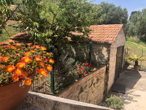 Big app surrounded by nature just 2km from the sea