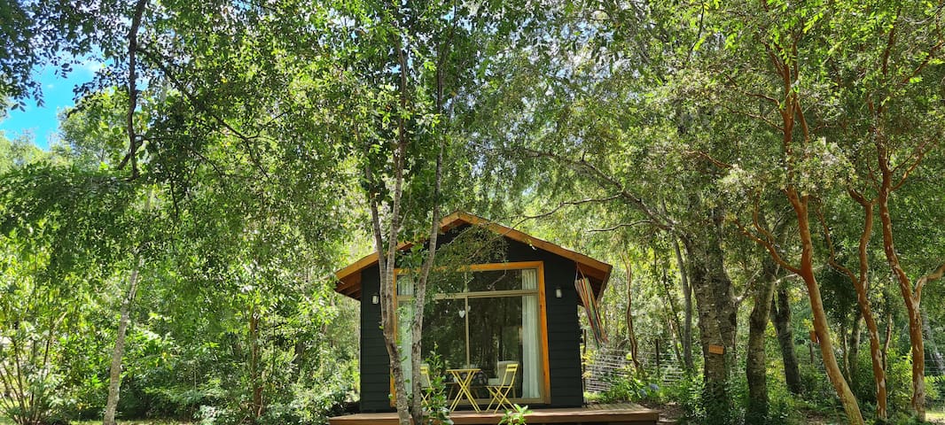 Guest favorite listing in Pucon