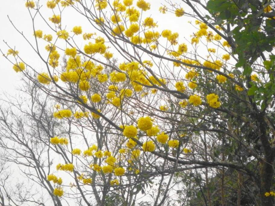 Naturaleza, flora y fauna