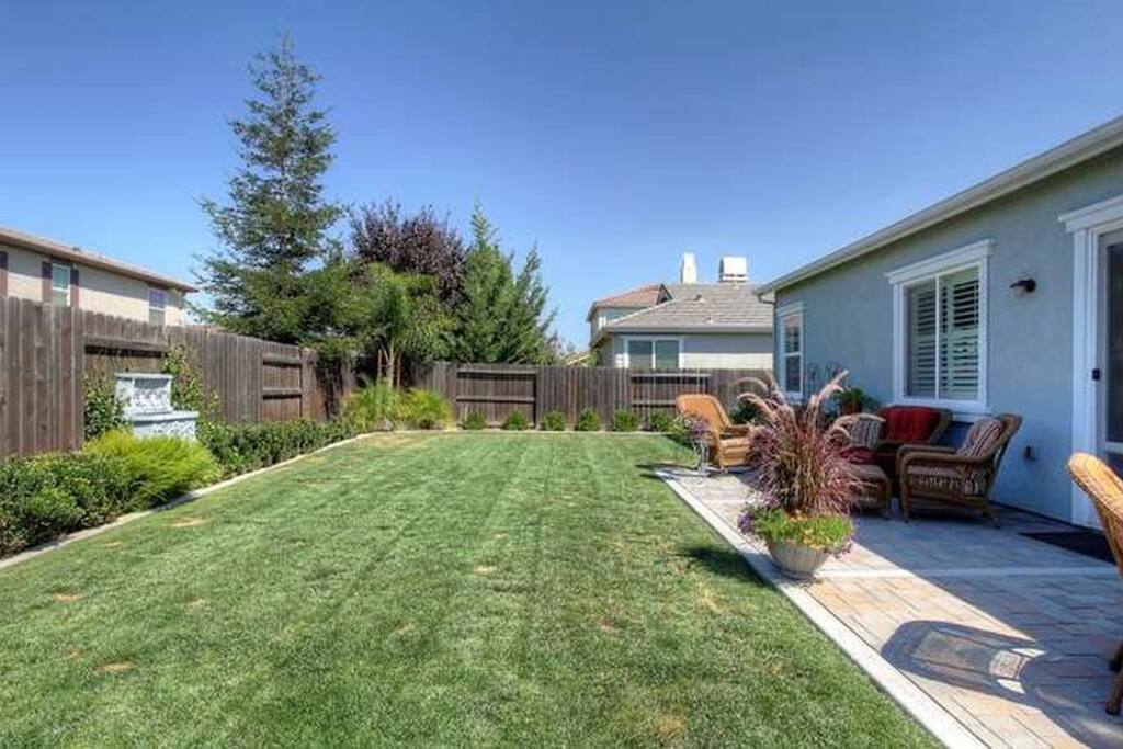Backyard